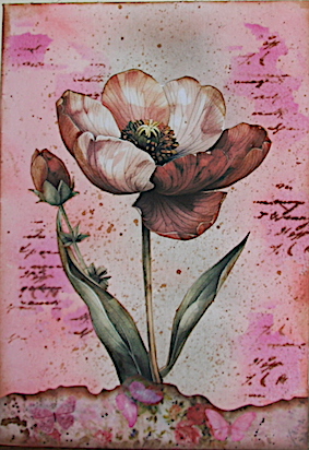 dien bloem .JPG